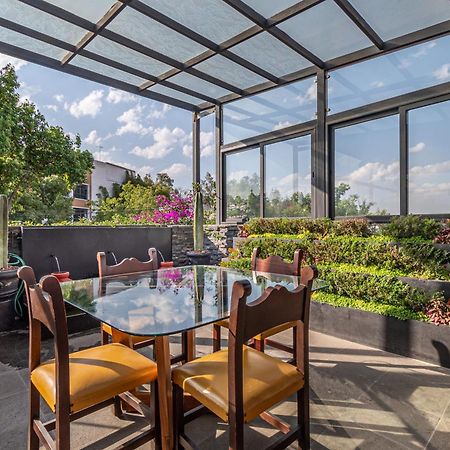 멕시코 시 Terraza & Loft San Angel 아파트 외부 사진
