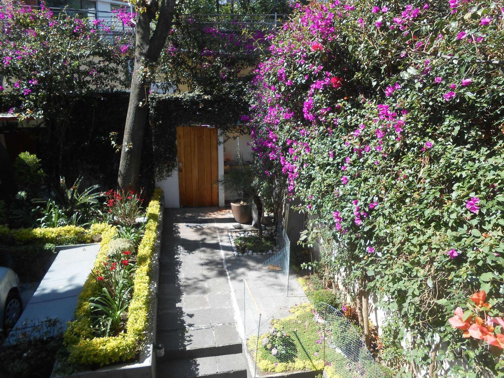 멕시코 시 Terraza & Loft San Angel 아파트 외부 사진