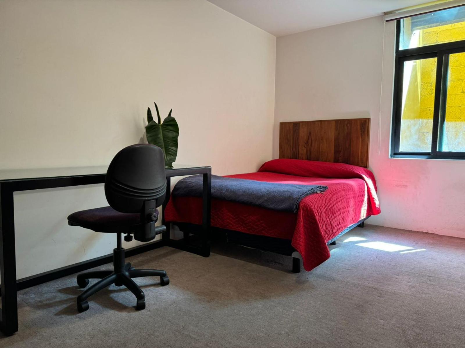 멕시코 시 Terraza & Loft San Angel 아파트 외부 사진