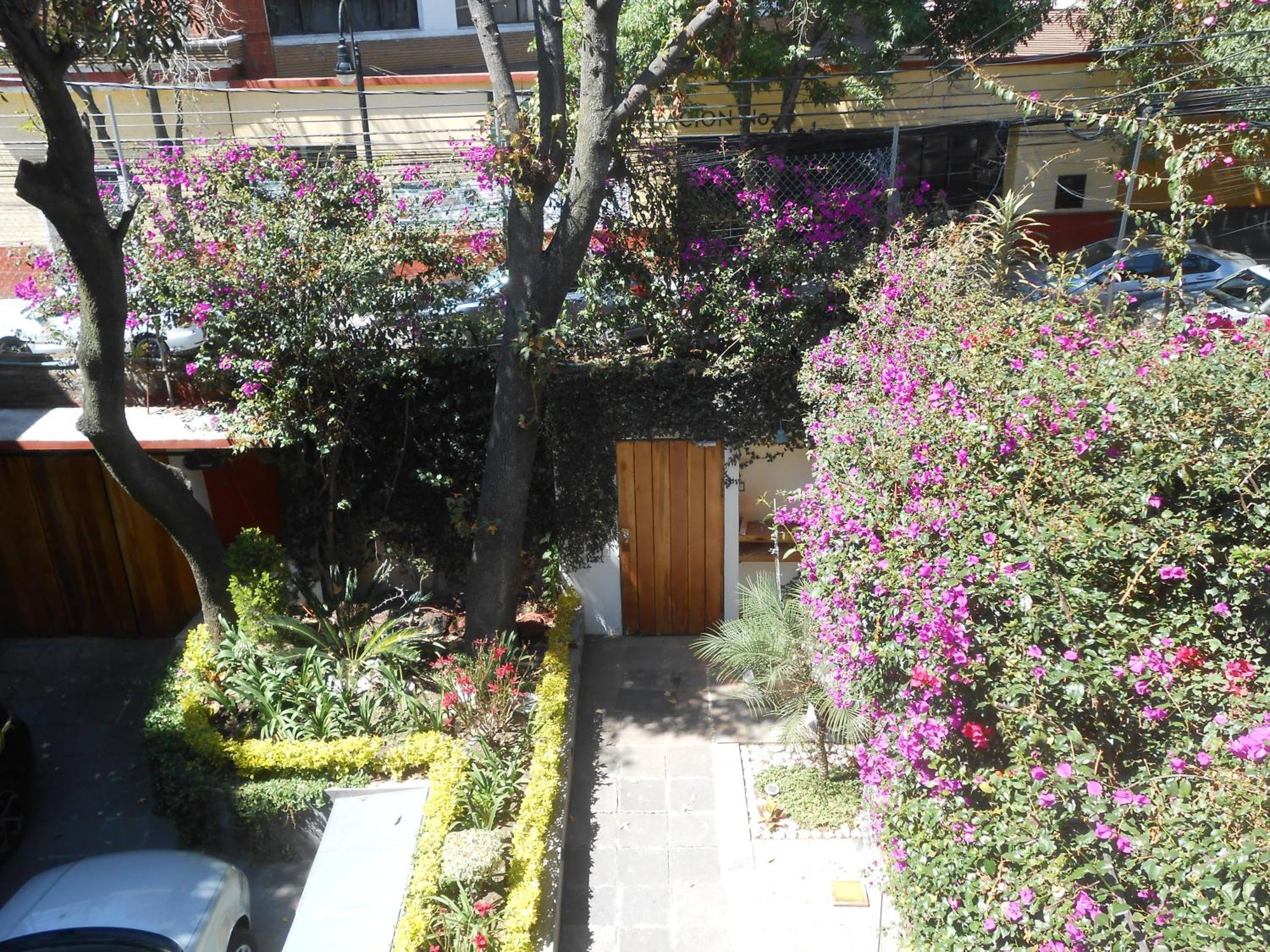 멕시코 시 Terraza & Loft San Angel 아파트 외부 사진