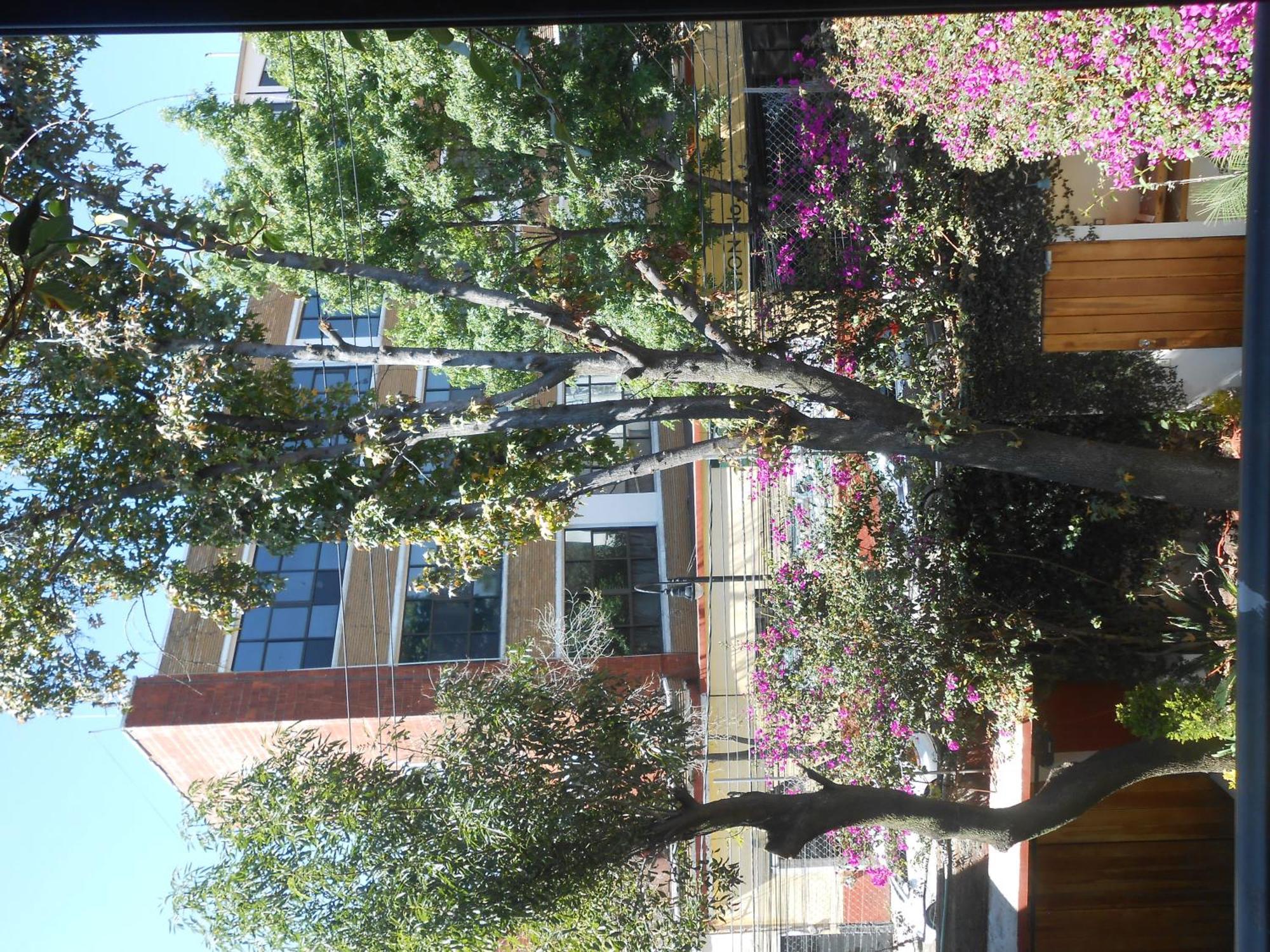 멕시코 시 Terraza & Loft San Angel 아파트 외부 사진