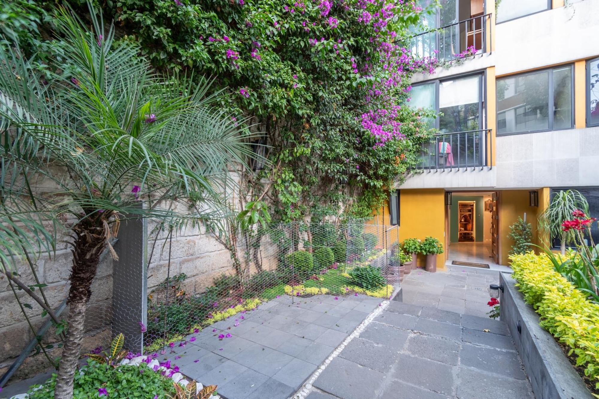 멕시코 시 Terraza & Loft San Angel 아파트 외부 사진