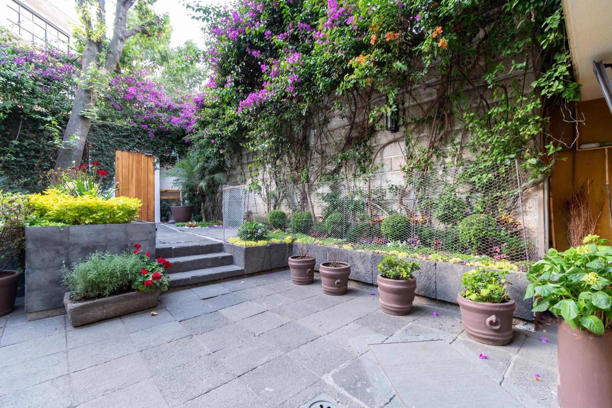 멕시코 시 Terraza & Loft San Angel 아파트 외부 사진